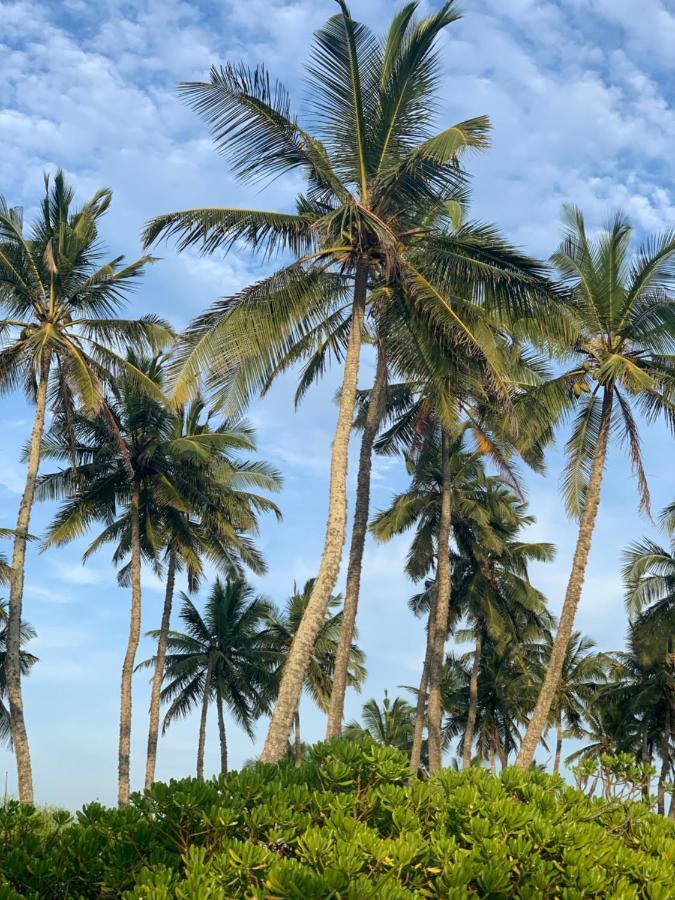 Serein Beach Hotel Tangalle Buitenkant foto